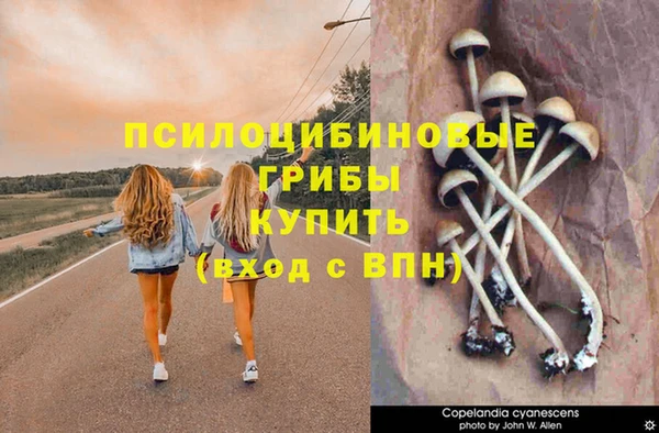 скорость Баксан