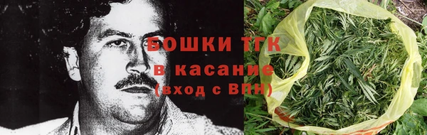 шишки Армянск
