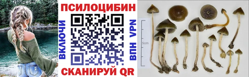 Галлюциногенные грибы Magic Shrooms  Семикаракорск 